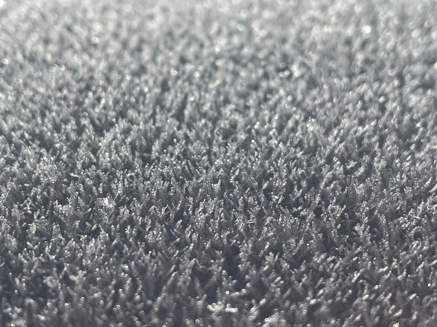 Photo Carpet Steam Cleaning