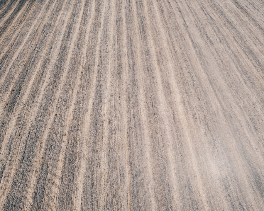 carpet steam cleaning
