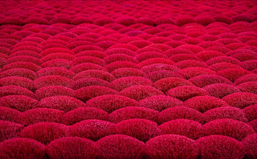 Carpet Steam Cleaning Melbourne CBD