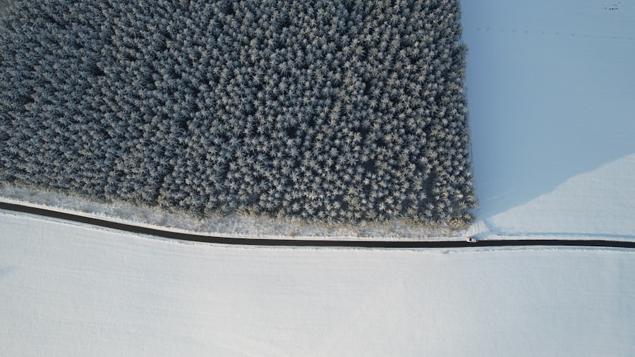 Steam Clean Mattress