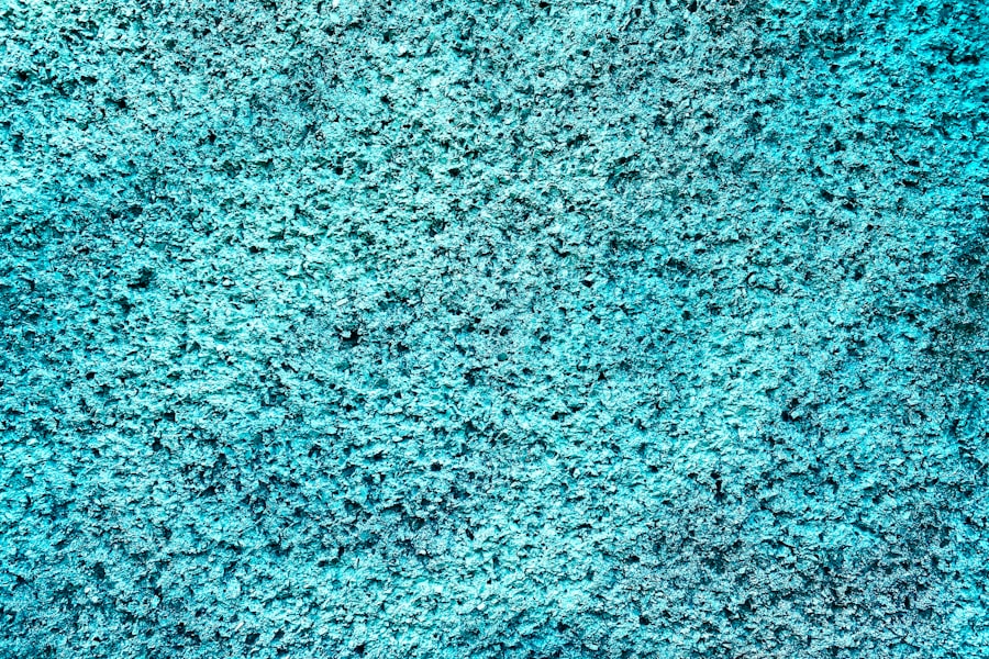 Carpet Steam Cleaning