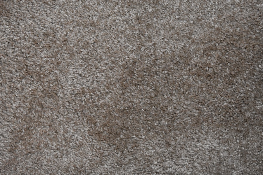 Carpet Cleaning Options