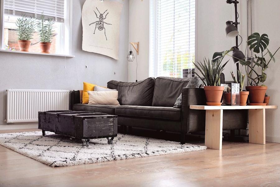 Carpet Cleaning Service