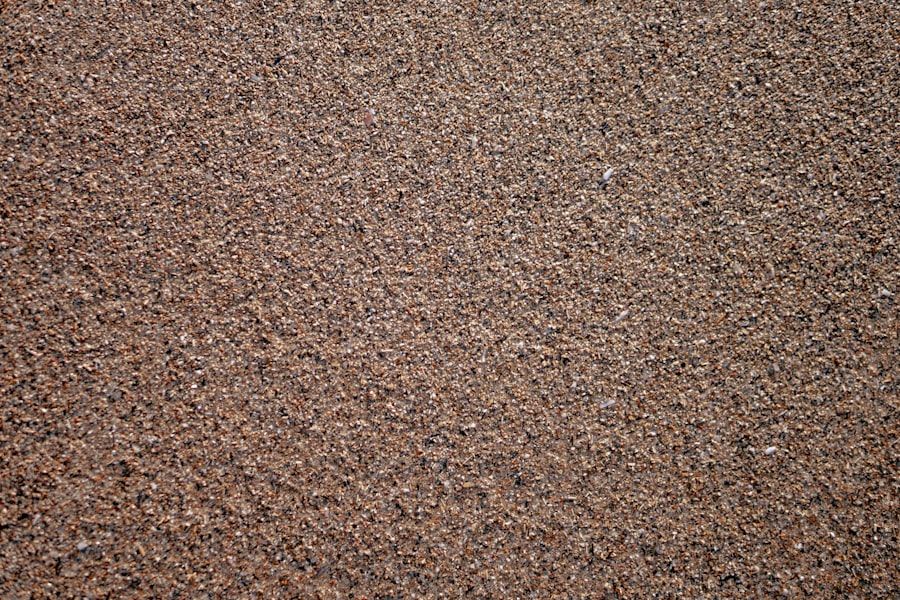 Photo Carpet Cleaning Fee