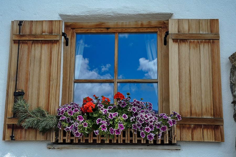 Photo Seasonal Window Maintenance Guide